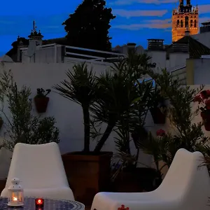Un Patio En Santa Cruz 2*, Siviglia Spagna